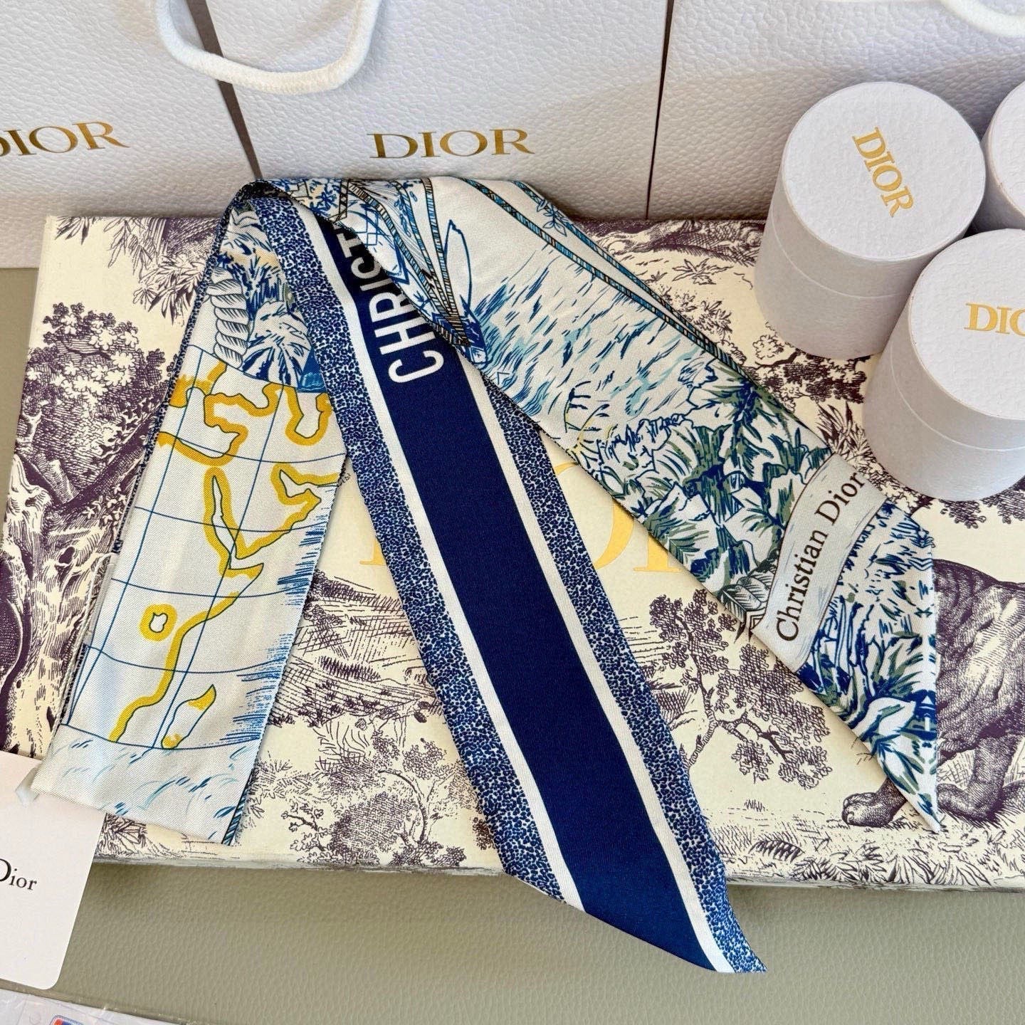 CD 26s Scarf 100cm In Silk 305845