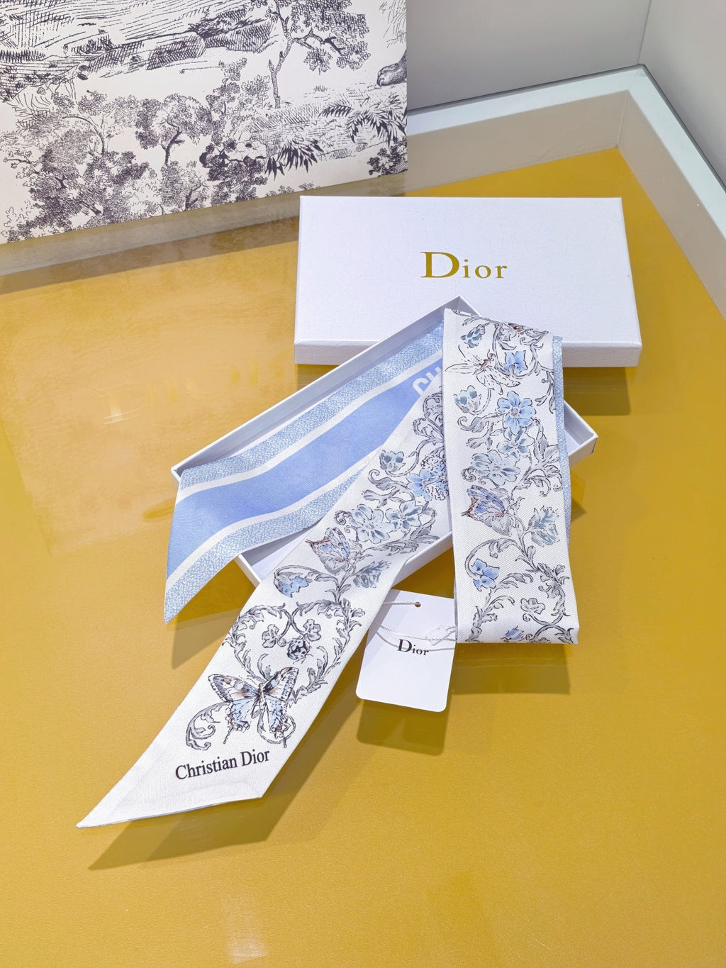 CD 26s Scarf 105cm In Silk 305884