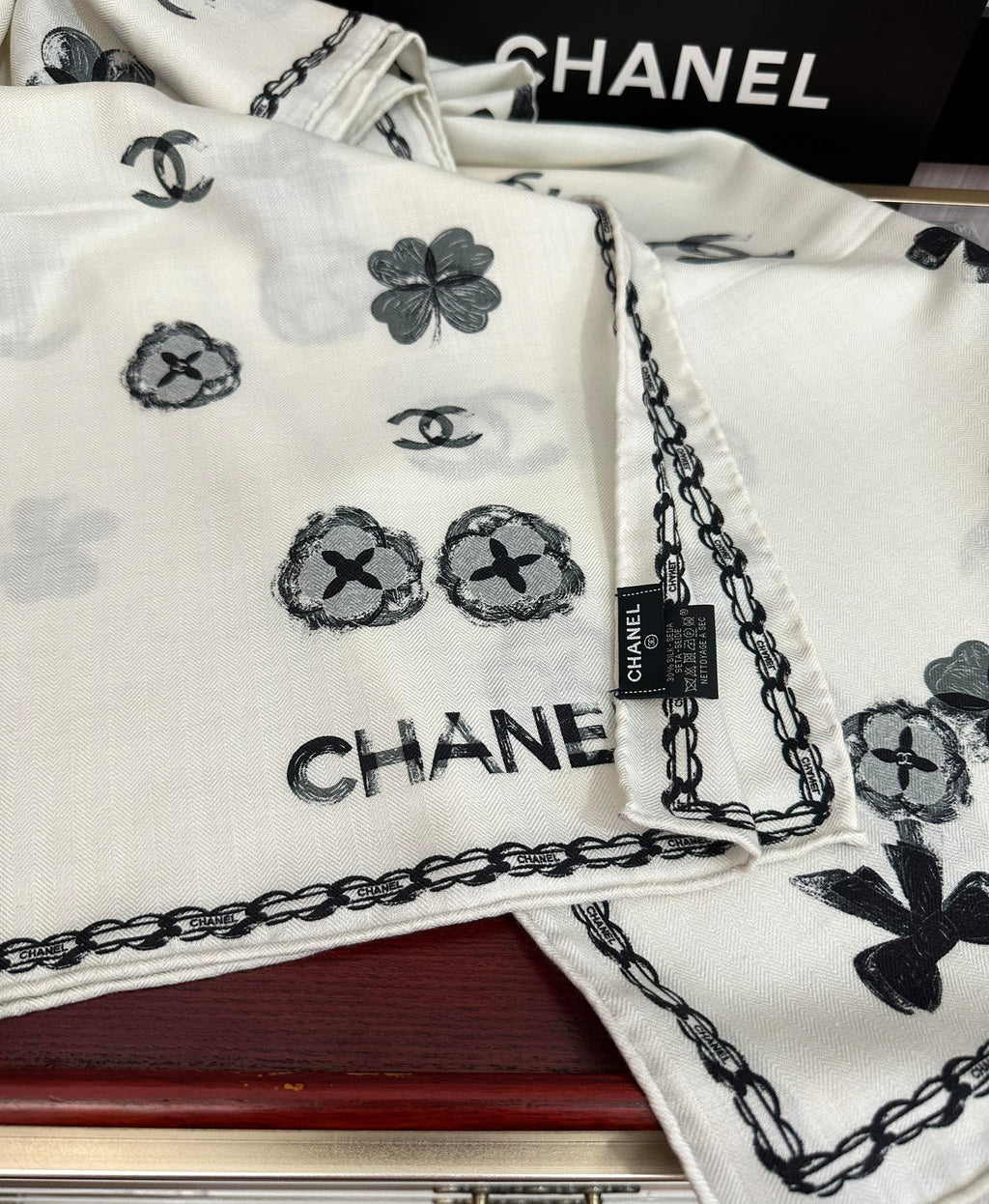 CC Scarf 65x185cm White Cashmere 286306
